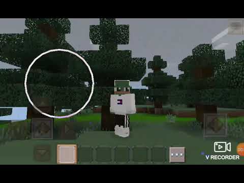 რუმ ტური