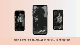 Graceland is now officially on TikTok! 🤩