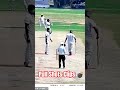 🔥 All Pull Shots Highlights | Powerful #shots#Robin Rawat #Cricket #Shots#feedshorts