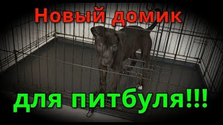 Новый домик Питбуля Кары. Подарок от подписчицы!!!