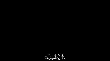 إن الذين يشترون بعهد الله وأيمانهم ثمنا قليلا..الايه من سورة آل عمران |كروما قرآن أحمد النفيس