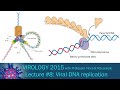 Virology 2015 Lecture #8: Viral DNA Replication