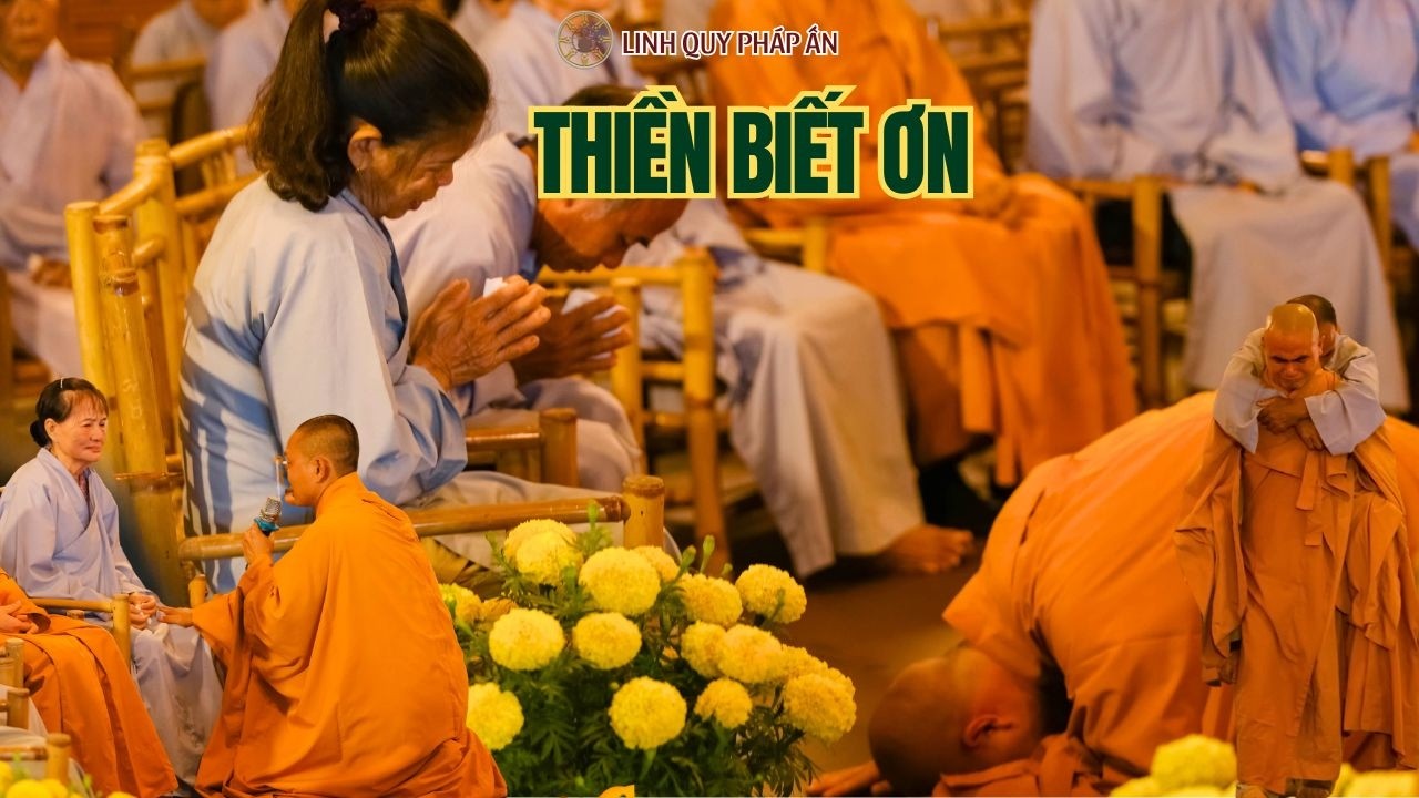 NIKAYA - Thiền Biết Ơn - Cha Mẹ Cho Con Đi Xuất GIa *