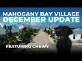 December Update Mahogany Bay Village BELIZE