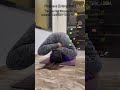 "Follow/Subscribe For Daily Yoga Poses and Benefits"#yoga #yogapractice #youtubeshorts #viral#peace