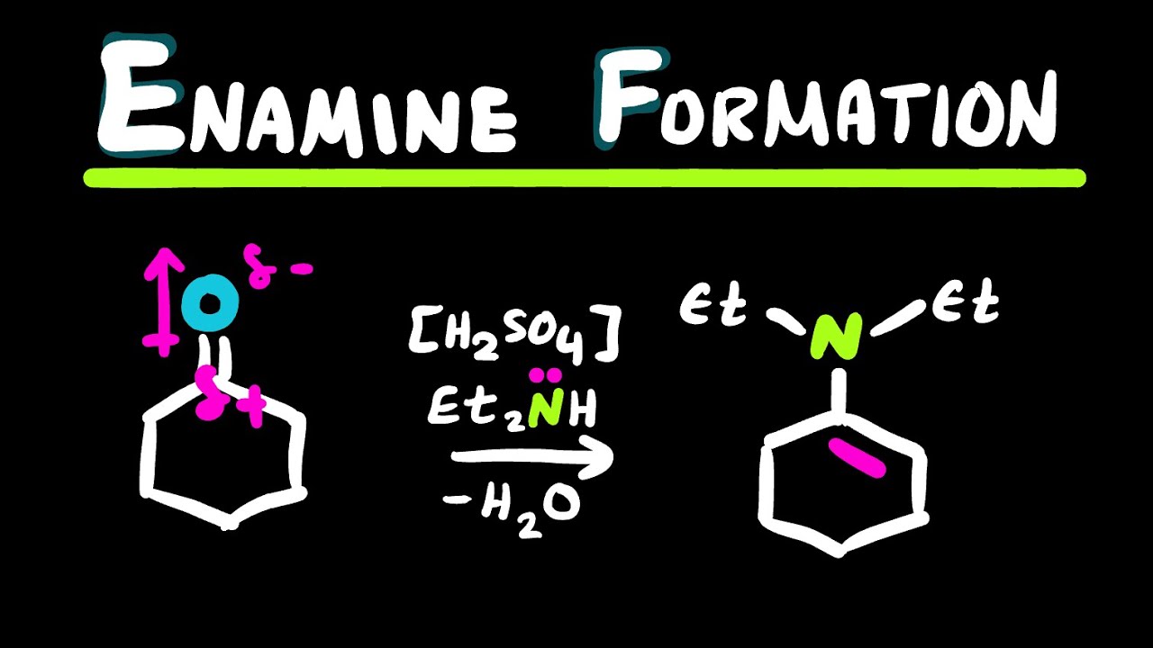 Enamine Definition Enamine Formation Mechanism - YouTube