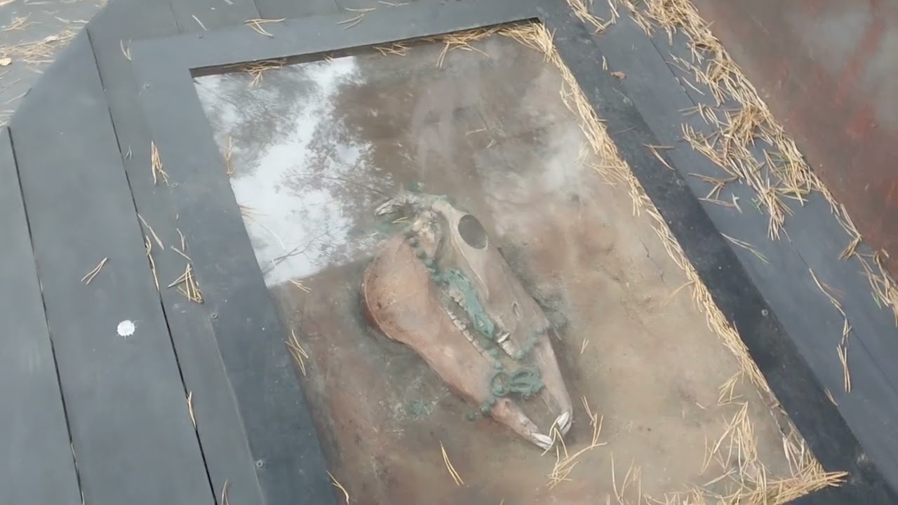 Смоленск 🏰 🏛️День второй. Прогулки по городу 🎡🌳🍁⛲🦢 и  музей-заповедник 