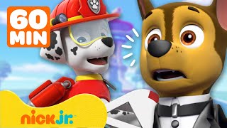 Paw Patrol - La Squadra dei Cuccioli | 1 ora di missioni di spionaggio e salvataggi! | Nick Jr.