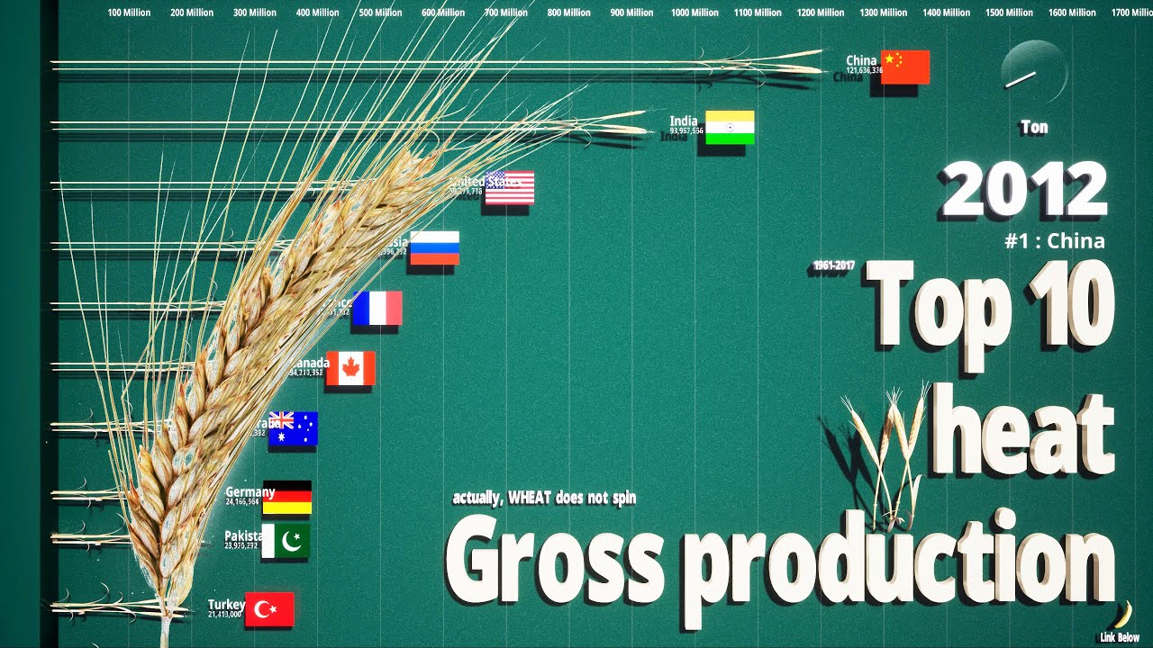 Top 10 Wheat Gross Production 4k How many Wheats are