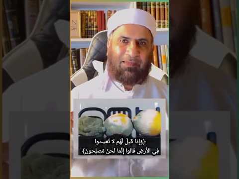 الصاحب ساحب هل يمكن يسحب إلى الخير وما العلاقة بين سورتي البقرة ويوسف هنا