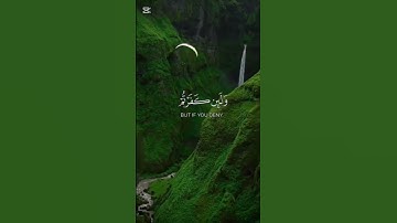 قران كريم بصوت جميل #اكسبلور #المراه #duet #راحة #راحة_نفسية #متابعه #النظافه #اهميه #حالات_واتس
