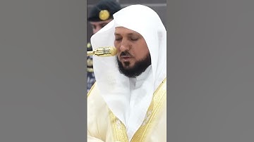 سورة الزمر | الشيخ #ماهر_المعيقلي