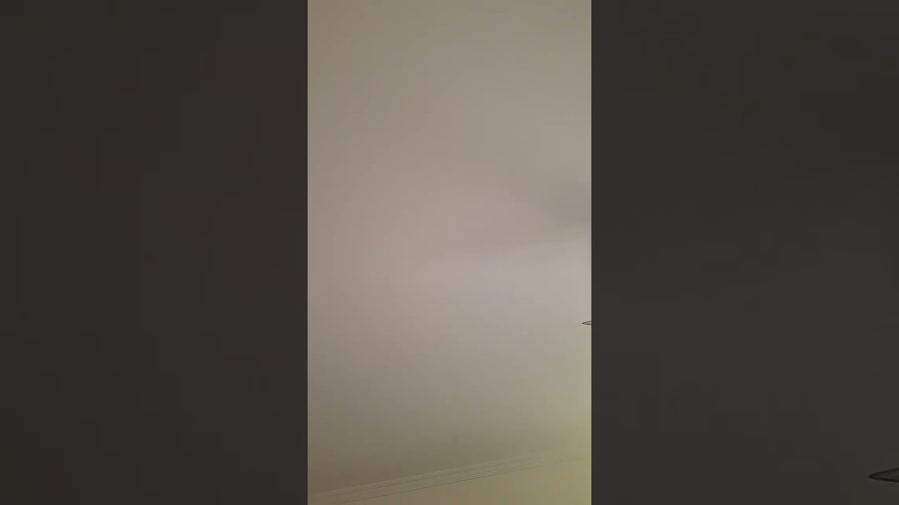 هو ايه الي الفنان عمله؟ 