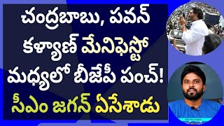 చంద్రబాబు, పవన్ కళ్యాణ్ మేనిఫెస్టో మధ్యలో బీజేపీ పంచ్! సీఎం జగన్ ఏసేశాడు #ameeryuvatv #ysrcp