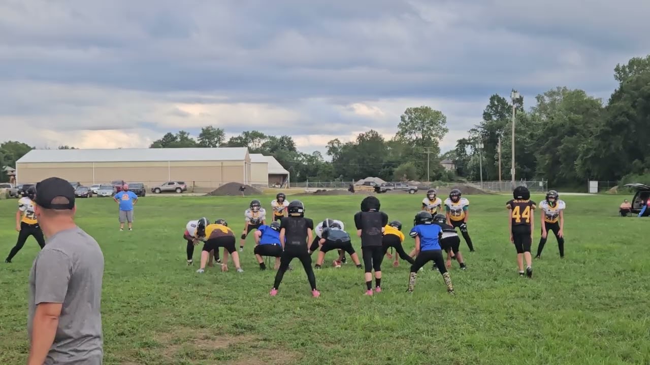 Sr. Gold vs. Sr White 2.0