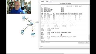 Cisco show interfaces trunk