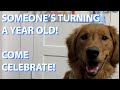 VLOG // Come celebrate a special birthday with us!
