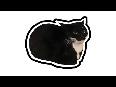 Maxwell Cat Откуда Мем