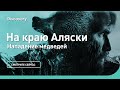 Нападение медведей | На краю Аляски | Discovery