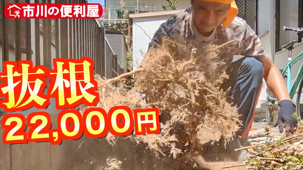 庭の草抜き、小さい木の伐採【2〜3本】 滋賀県草津市の庭木の伐採・伐根｜おすすめ業者を口コミや費用で比較