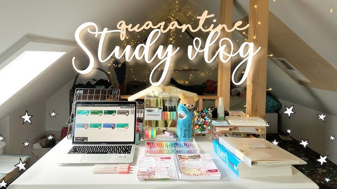 productive study vlog ✧ study #withme 