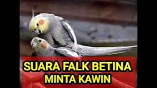 SUARA FALK BETINA MINTA KAWIN |2022