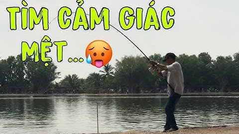 Câu cá giải trí hồ HẢI LONG VƯƠNG bắt cá mệt nghỉ nè