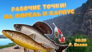 Русская рыбалка 4 - РАБОЧИЕ ТОЧКИ ФОРЕЛЬ И ХАРИУС! НА ТОП ПРИМАНКУ! Р. Белая!