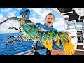4 Days Boat Camping Exploring For Sea Creatures 