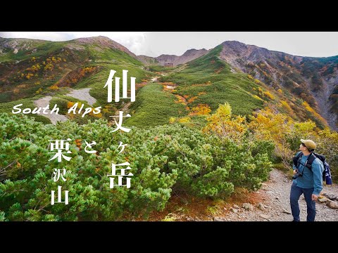 【テント泊登山】紅葉の南アルプス仙丈ヶ岳と栗沢山