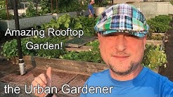 Episode 36 - Amazing Rooftop Garden! | Noble Rot | Portland, Oregon