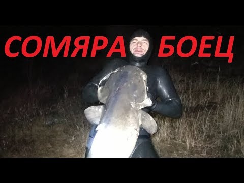 Большой Сомяра не сдавался до конца!Подводная охота на сома 2020!