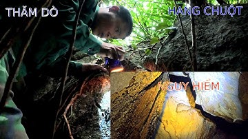 ĐI RỪNG TÌM THỔ PHỤC LINH .THĂM DÒ NÚI ĐÁ CÓ NHIỀU HANG CHUỘT -Camera Thợ Rừng .