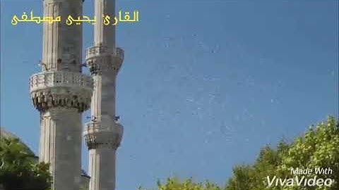 تلاوة خاشعة لقوله تعالي : أَوَلَمْ يَرَوْا إِلَى الطَّيْرِ فَوْقَهُمْ صَافَّاتٍ .)#القارئ_يحيى_مصطفى