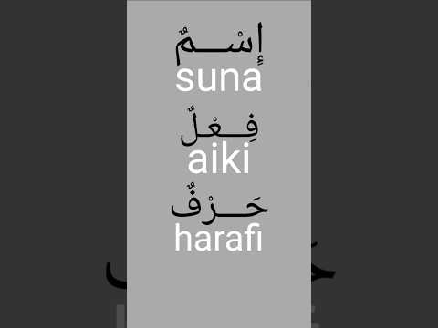 Tushen Zancen LARABCI 001 Shorts Hausa Arabic