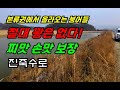 후회없는 선택  꽝은 없다  찌맛 손맛 보장수로