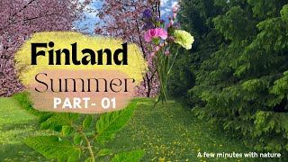 Nature in Finland | Nature's life in Summer | Beautiful nature