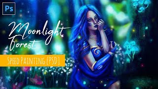 Beauty in a Moonlight Forest [SPEEDPAINT]