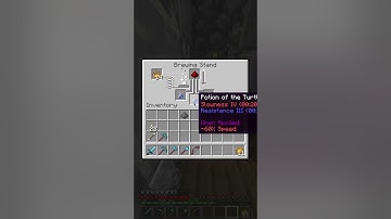 The Potion of the Unstoppable Turtle: Mastering Endurance in Minecraft