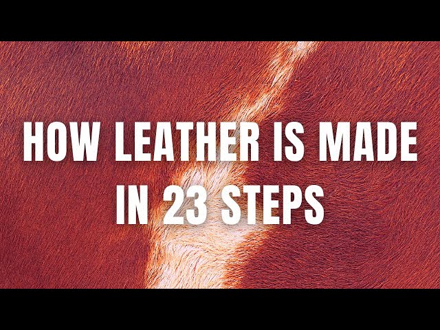 How Leather Is Made in 23 Steps 