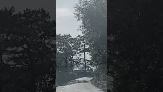Let's go to Baguio day one, lots of trees and a long drive but worth it