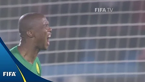Cameroon v Denmark | 2010 FIFA World Cup | Match Highlights - DayDayNews