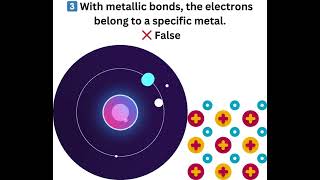 Chemistry Quiz Answers & Explanation True or False