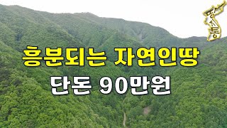 단돈 90만원에 속세해방~매일 달라지는 자연 속에 파묻혀 몸과 마음을 힐링하세요[땅지통]