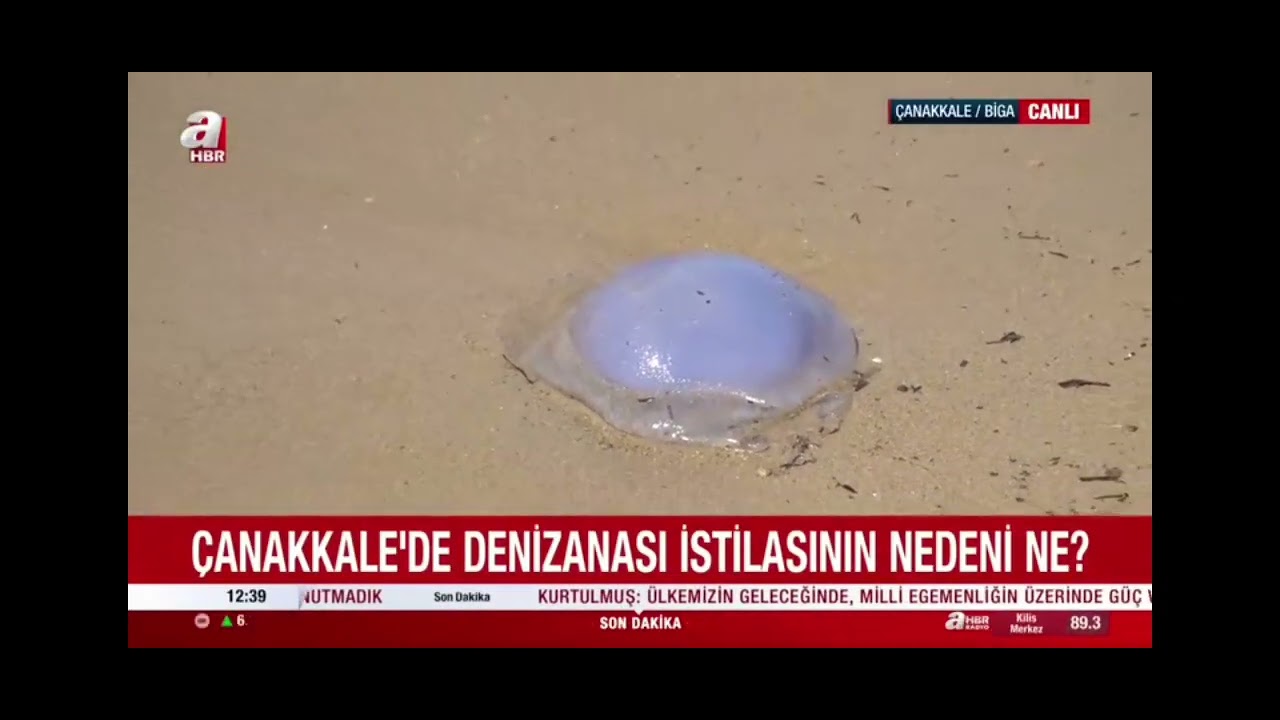Tanıtım videosu