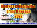 Прогноз клева рыбы на неделю с 1 по 9 ЯНВАРЯ 2022 Календарь рыболова Лунный календарь рыболова