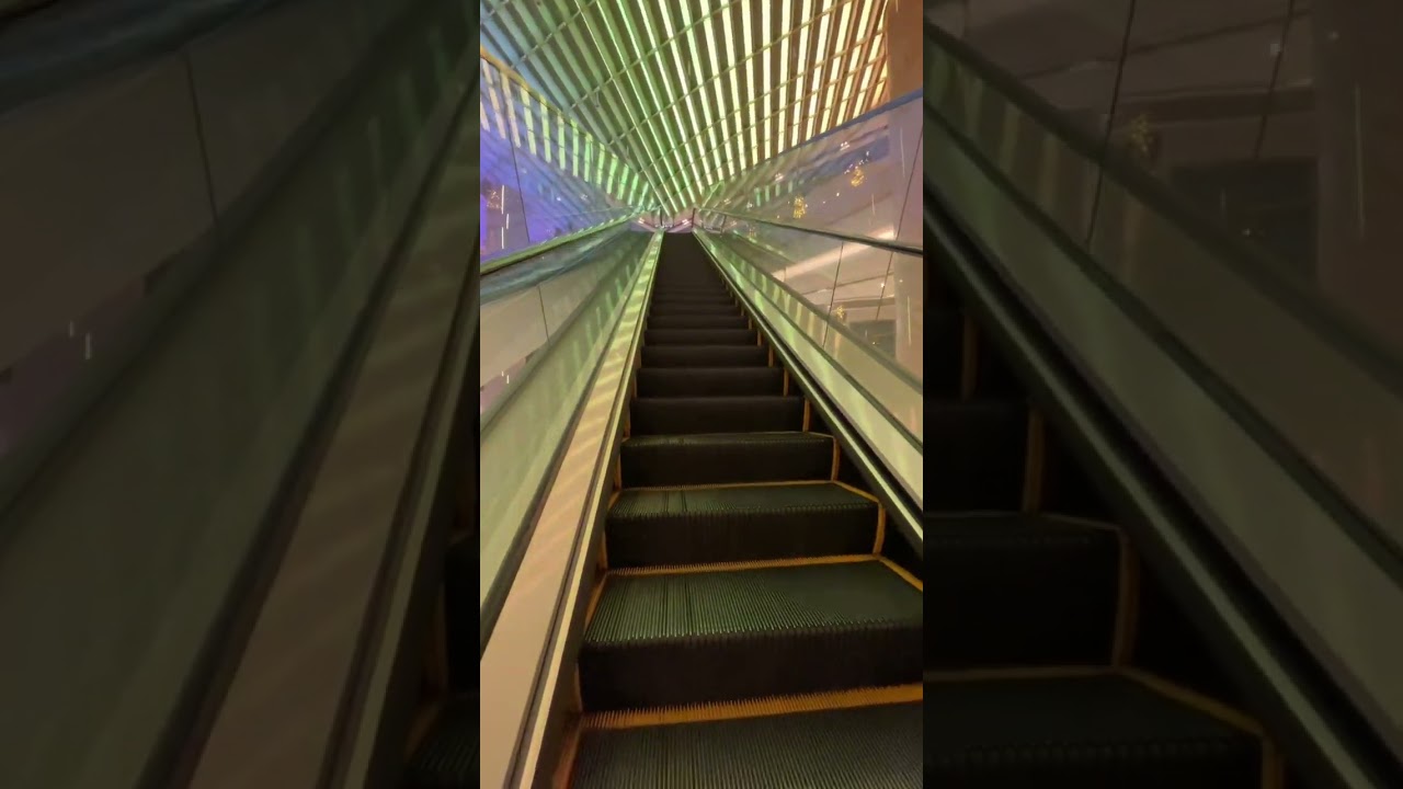 Dinner at Jumbo Seafood Restaurant ION Orchard shopping mall Singapore