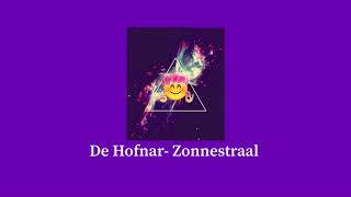 De Hofnar - Zonnestraal. (Tik Tok version slowed)