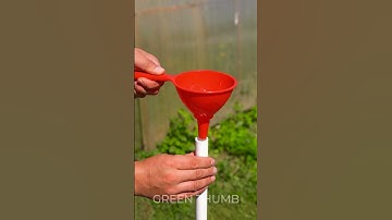 Gardening tips for an easy planting process 🥬 #shorts #planting #garden #diy