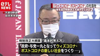来年度の「税制改正大綱」きょう正式決定へ　(2020年12月10日放送)
